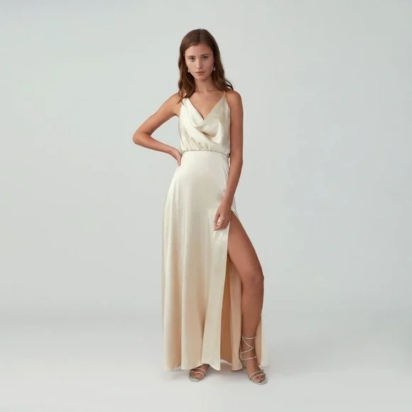 Fame and Partners Cowl Mermaid Dress